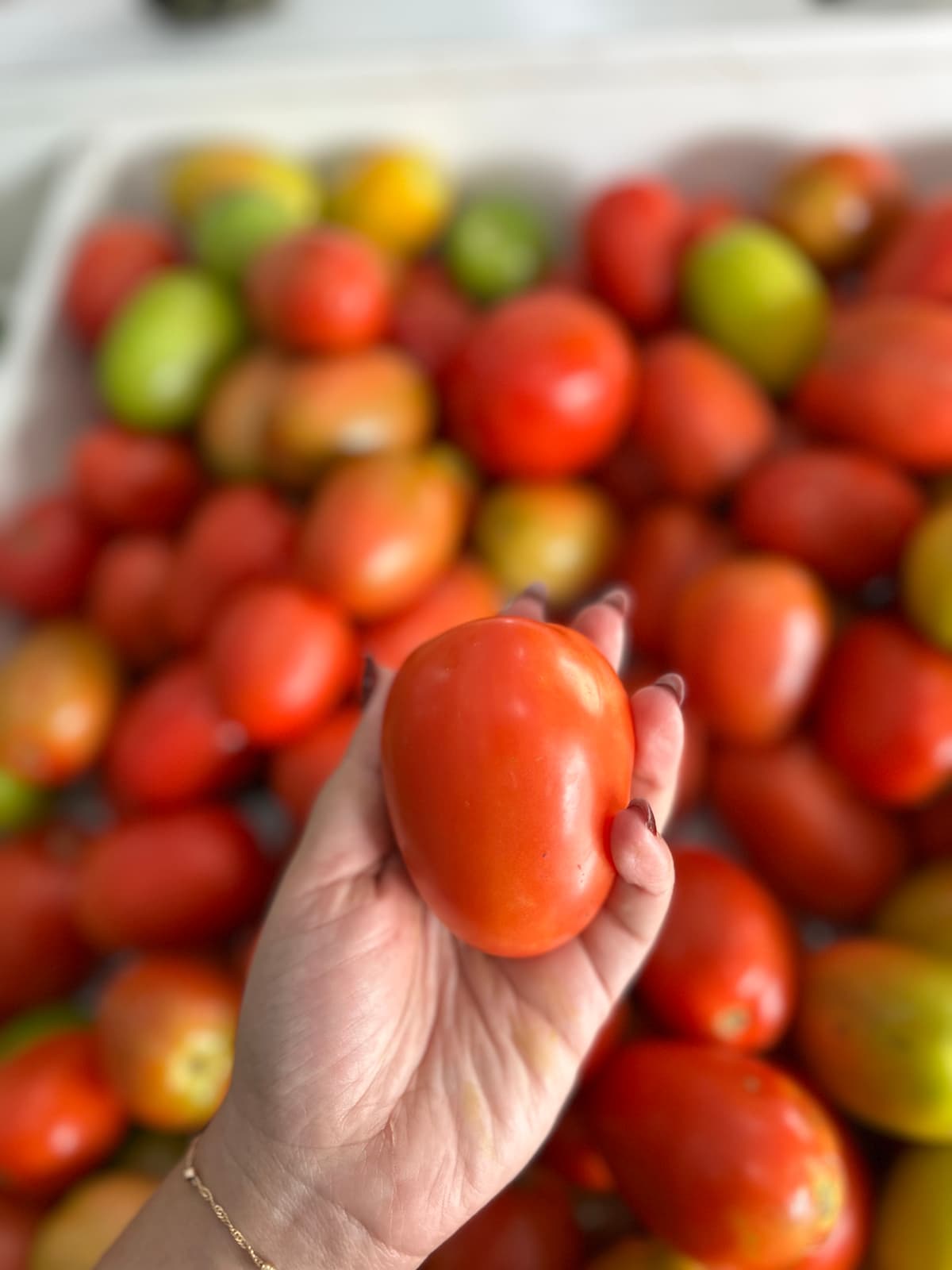 Tomate