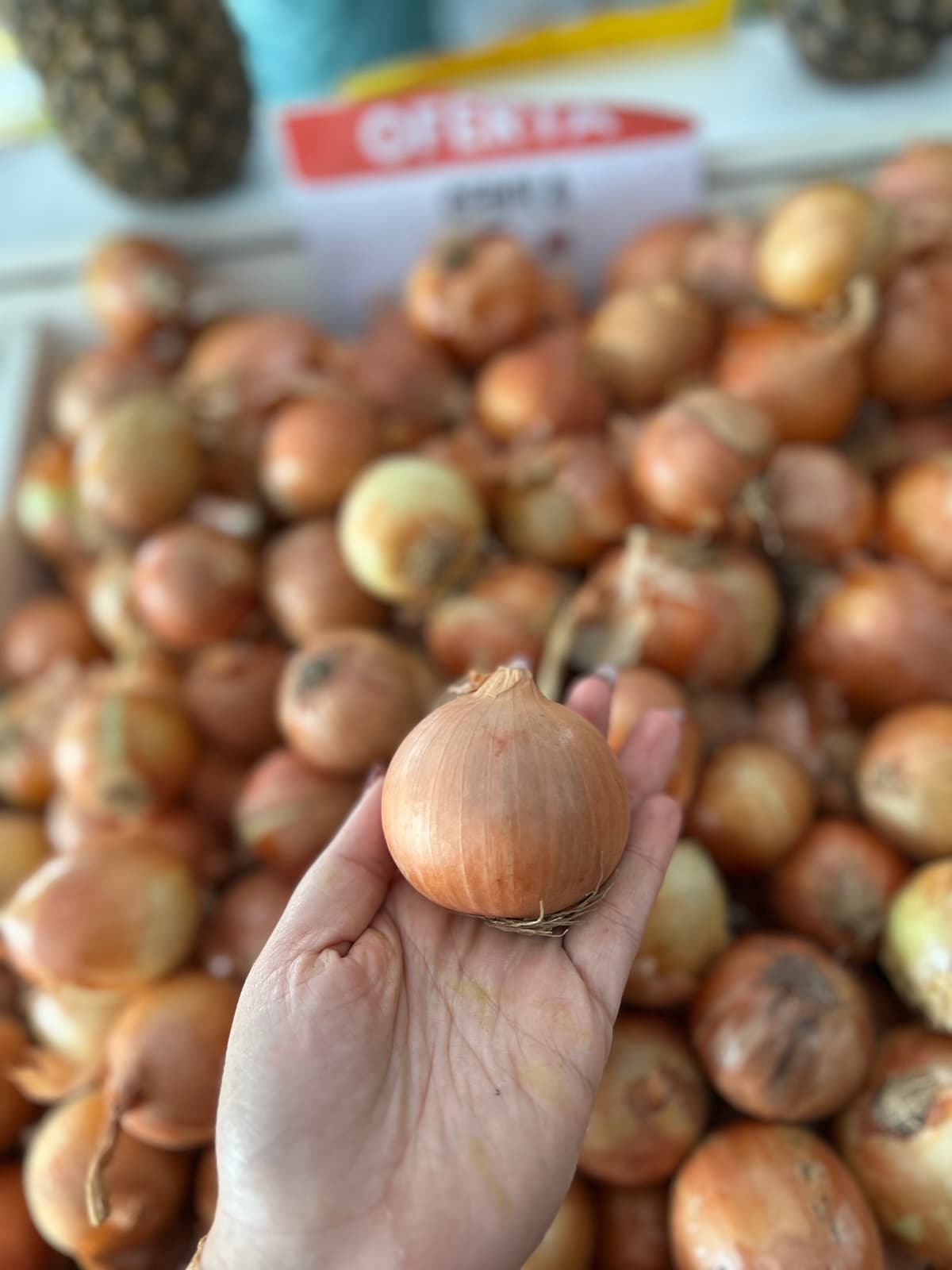 Cebola Amarela