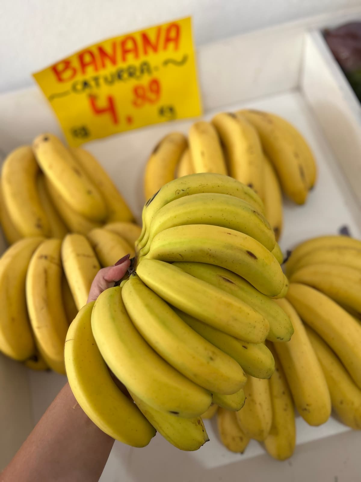 Banana Caturra