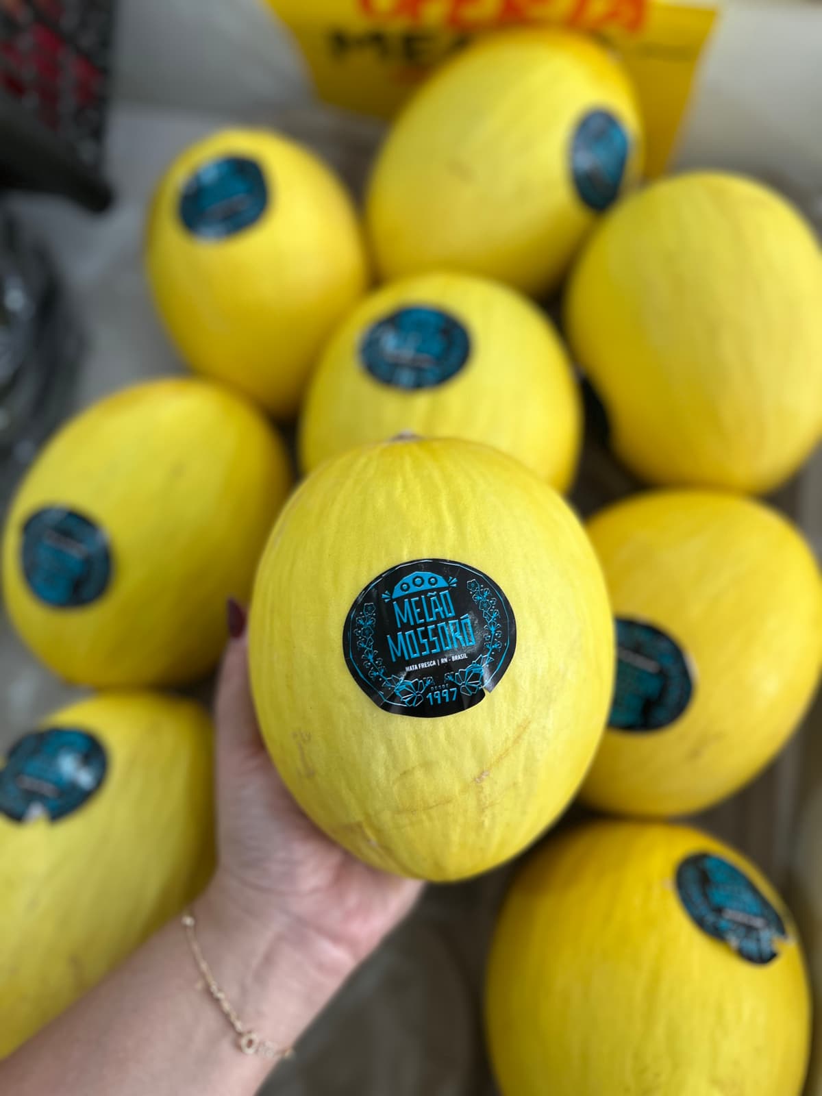 Melão amarelo