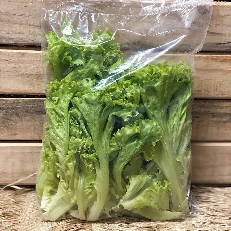 Alface crespa higienizada