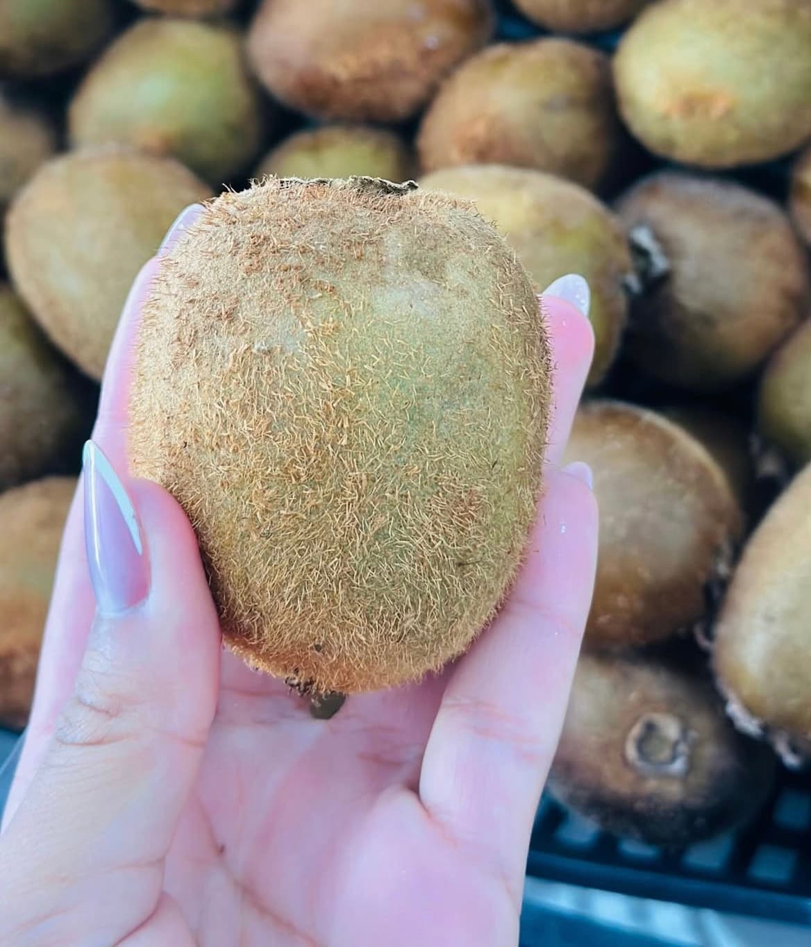 Kiwi - 100g